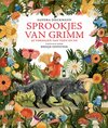 Sprookjes van Grimm